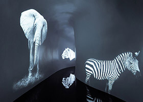 KTV生意不好，看完這七條你就找到原因了！